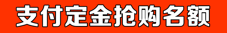 点击支付抢占名额